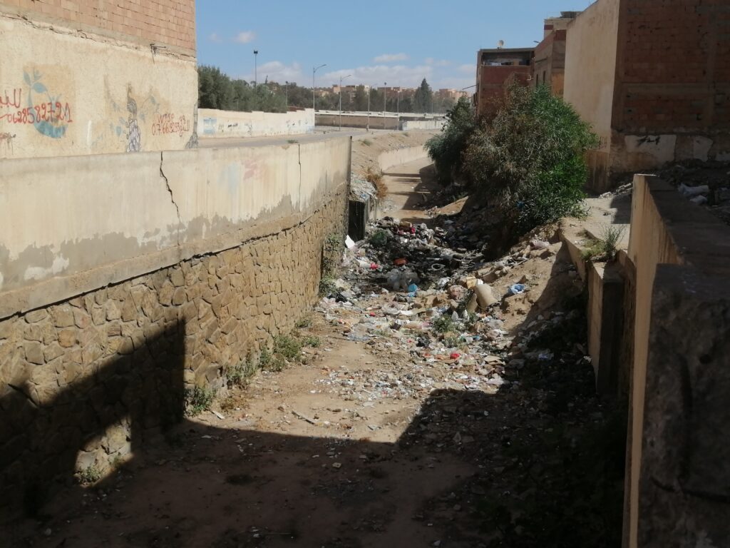 IMG 20240620 101723
