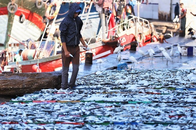 Moroccan seafood products invade Spanish markets Unprecedented increase in exports of 64% in one year Moroccan seafood products invade Spanish markets Unprecedented increase in exports of 64 in one year 1