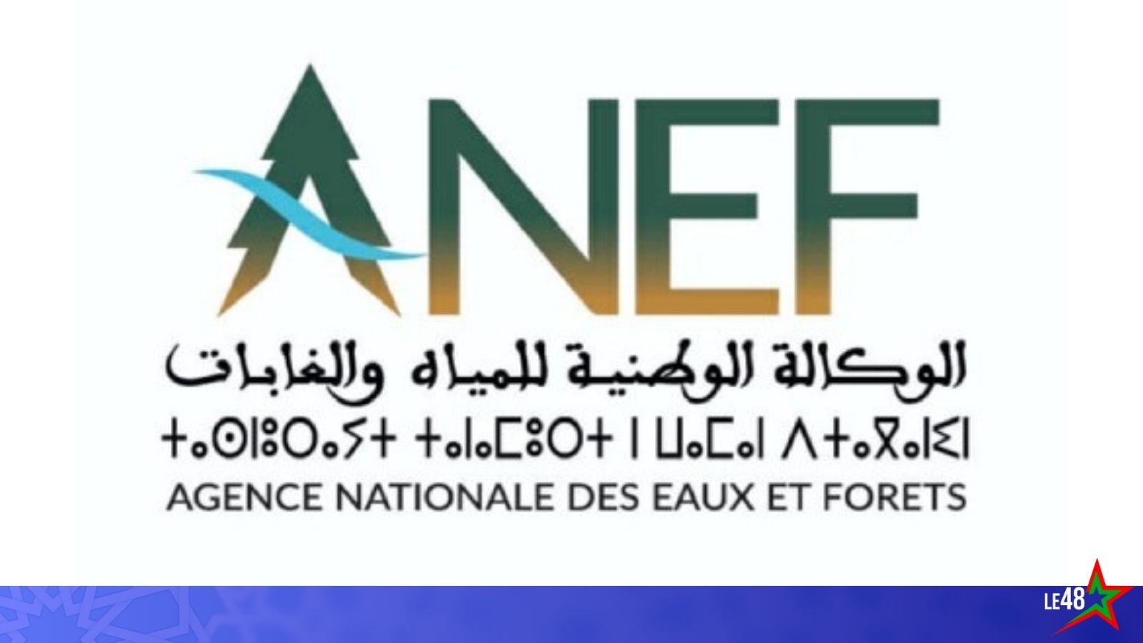 The National Agency for Water and Forests confirms its commitment to a zero tolerance policy for any violation related to illegal hunting