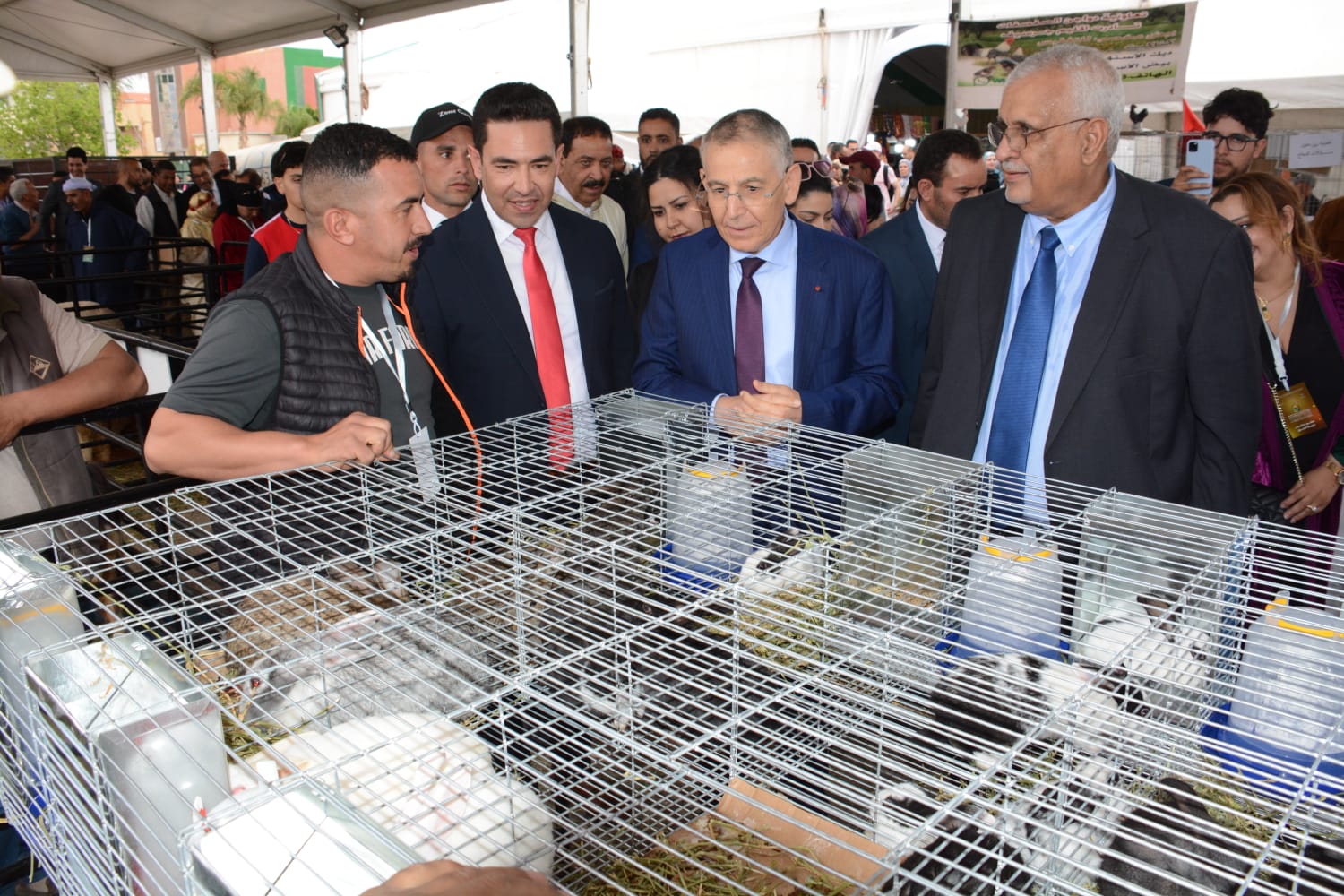وجدة: المعرض الجهوي للاقتصاد الاجتماعي والتضامني يجسد دينامية تنموية وشراكة إفريقية واعدة 4 1000101320