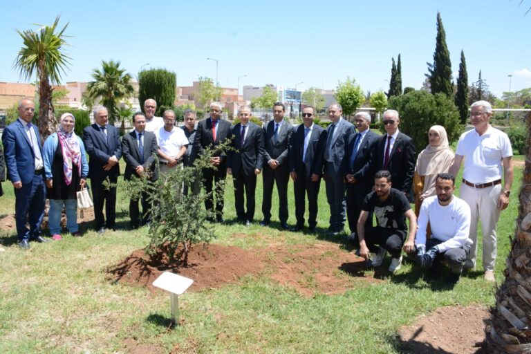 وجدة تحتفي باليوم العالمي لشجرة الأركان في فعالية بيئية متميزة 5 IMG 20250516 WA0119