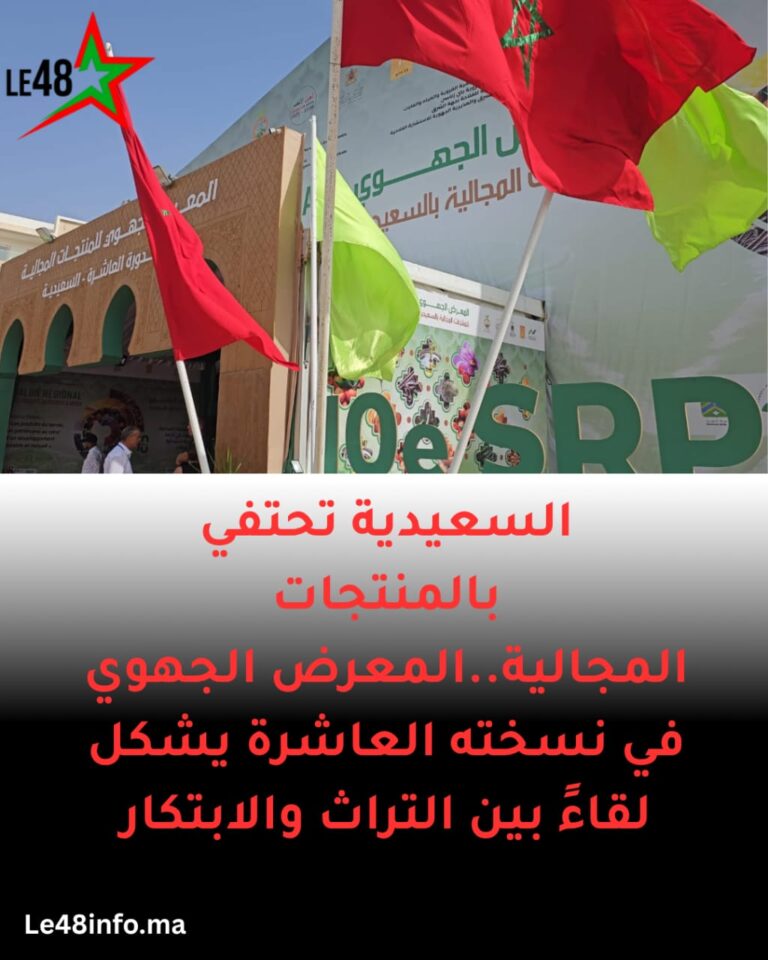 IMG 20250727 WA0053