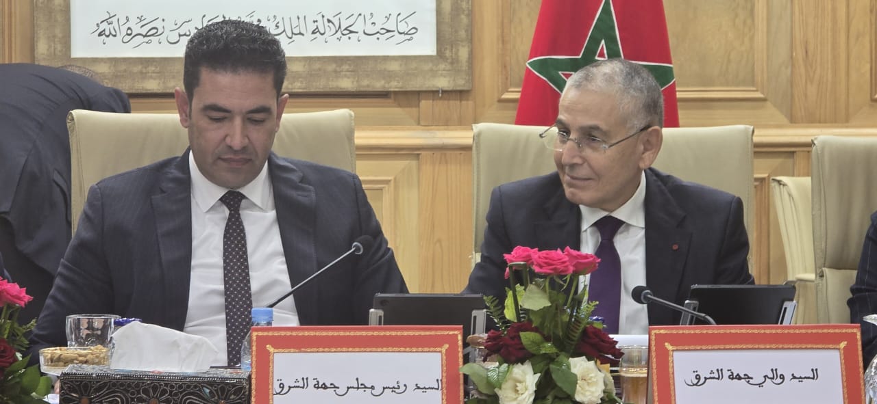 مجلس جهة الشرق يصادق على 80 نقطة لدعم مشاريع تنموية كبرى 2 1000013815