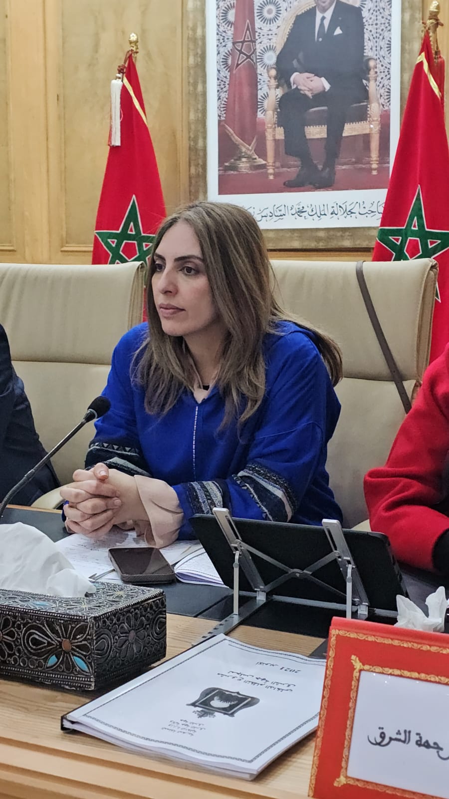 بوعرورو يقود دورة مارس لمجلس جهة الشرق نحو إجماع تنموي شامل 4 1000240033