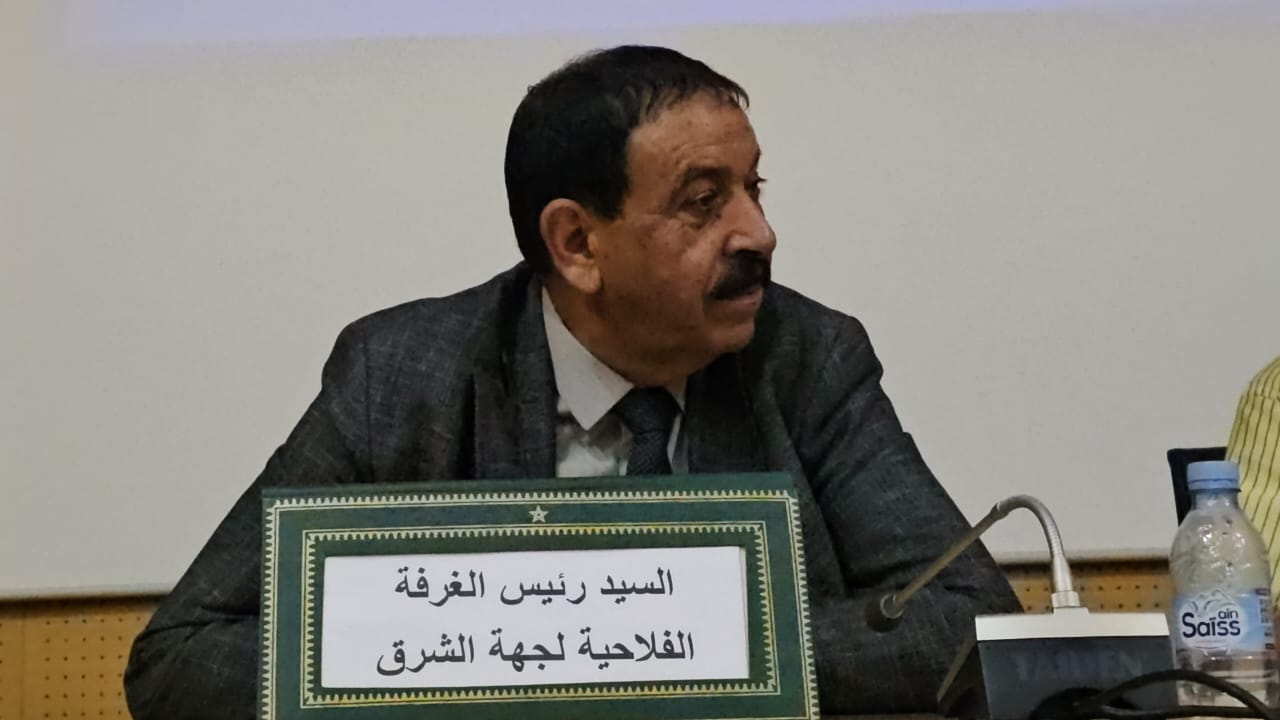 أسامة أخيار: التعاونيات رافعة للتنمية والعدالة الاجتماعية في جهة الشرق بمناسبة اليوم العالمي للتعاونيات 12 1000335334