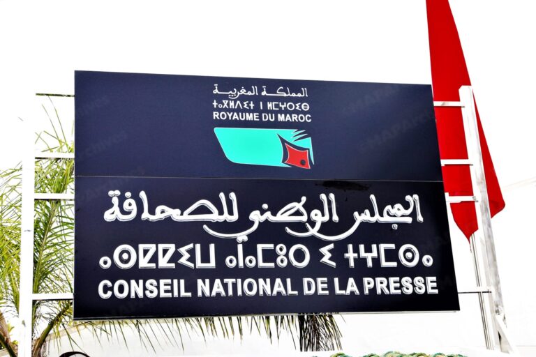 منظمات مهنية تطالب أخنوش بتأجيل انتخابات المجلس الوطني للصحافة وتصحيح مسارها. 13 CNP