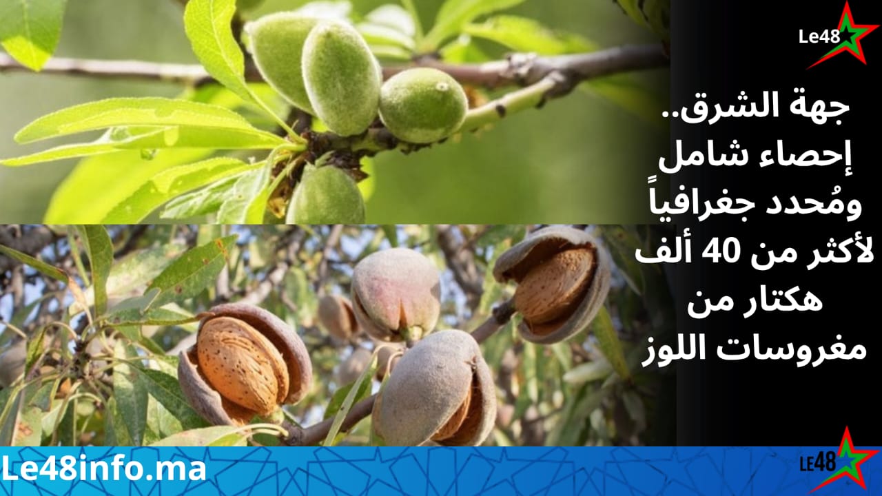 IMG 20261014 WA0060